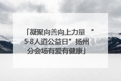 凝聚向善向上力量 “5·8人道公益日”扬州分会场有爱有健康