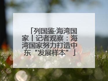 列国鉴·海湾国家丨记者观察：海湾国家努力打造中东“发展样本”