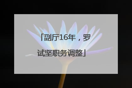 副厅16年，罗试坚职务调整