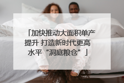 加快推动大面积单产提升 打造新时代更高水平“洞庭粮仓”