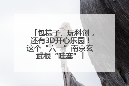 包粽子、玩科创，还有3D开心乐园！这个“六一”南京玄武很“哇塞”