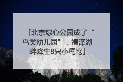 北京绿心公园成了“鸟类幼儿园”，福泽湖畔降生8只小鸳鸯