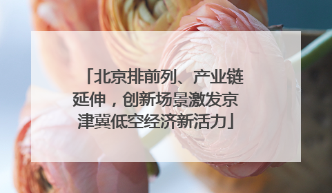 北京排前列、产业链延伸，创新场景激发京津冀低空经济新活力
