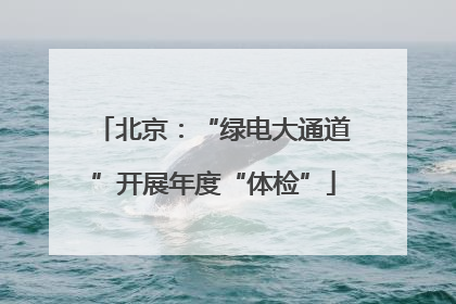 北京：“绿电大通道”开展年度“体检”