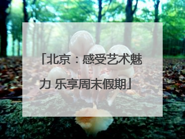 北京：感受艺术魅力 乐享周末假期