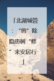 北湖城管：“剪”除隐患树“修”来安居行