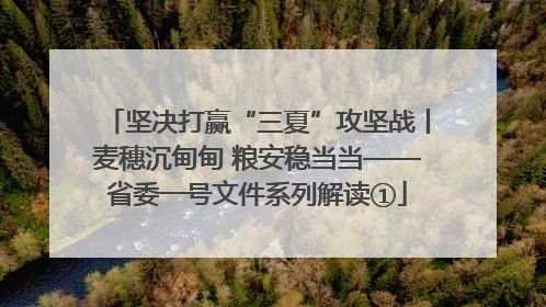坚决打赢“三夏”攻坚战丨麦穗沉甸甸 粮安稳当当——省委一号文件系列解读①