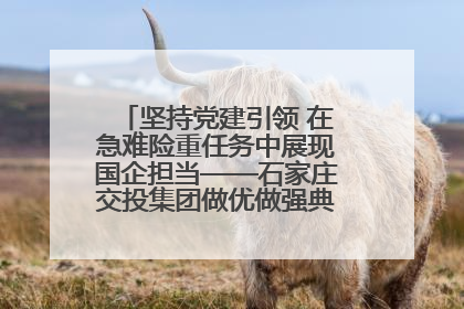 坚持党建引领 在急难险重任务中展现国企担当——石家庄交投集团做优做强典型报道之一