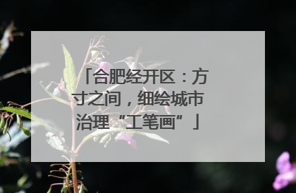 合肥经开区：方寸之间，细绘城市治理“工笔画”