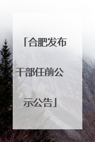 合肥发布干部任前公示公告