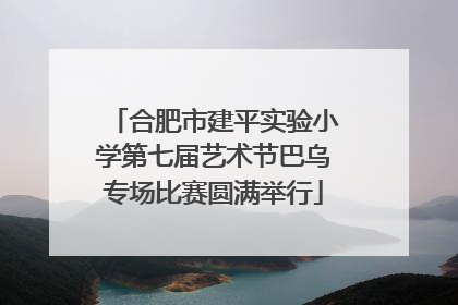合肥市建平实验小学第七届艺术节巴乌专场比赛圆满举行