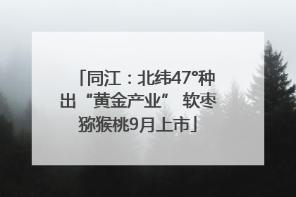 同江：北纬47°种出“黄金产业” 软枣猕猴桃9月上市