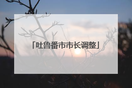 吐鲁番市市长调整