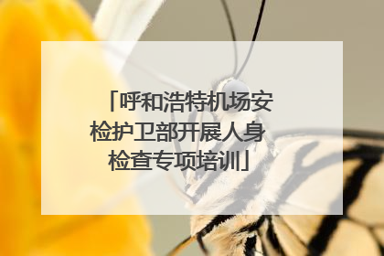 呼和浩特机场安检护卫部开展人身检查专项培训
