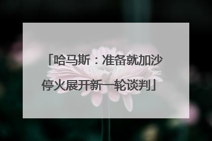 哈马斯：准备就加沙停火展开新一轮谈判