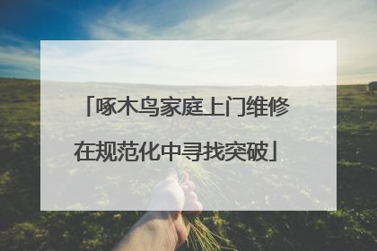 啄木鸟家庭上门维修在规范化中寻找突破