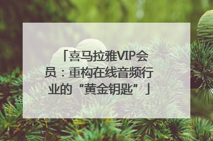 喜马拉雅VIP会员：重构在线音频行业的“黄金钥匙”