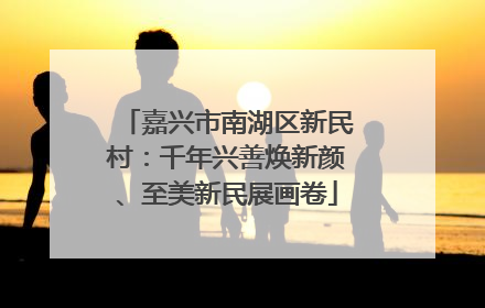 嘉兴市南湖区新民村：千年兴善焕新颜、至美新民展画卷