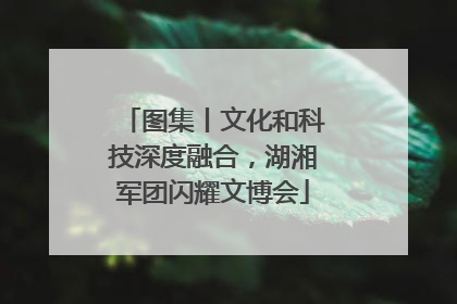图集丨文化和科技深度融合，湖湘军团闪耀文博会