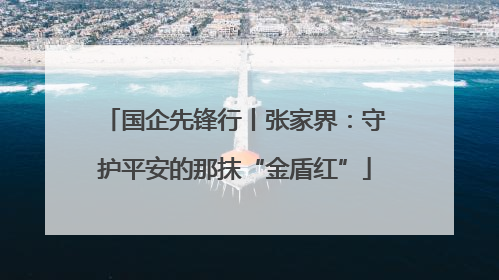 国企先锋行丨张家界：守护平安的那抹“金盾红”