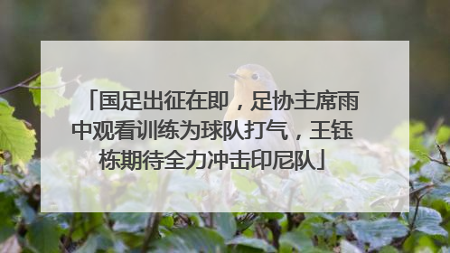 国足出征在即，足协主席雨中观看训练为球队打气，王钰栋期待全力冲击印尼队
