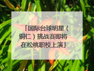 国际台球明星（铜仁）挑战赛即将在松桃职校上演