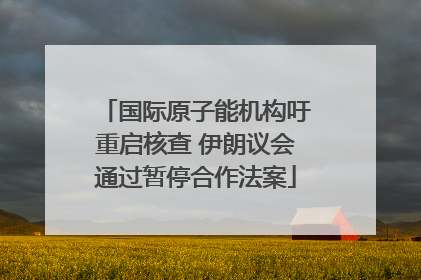 国际原子能机构吁重启核查 伊朗议会通过暂停合作法案