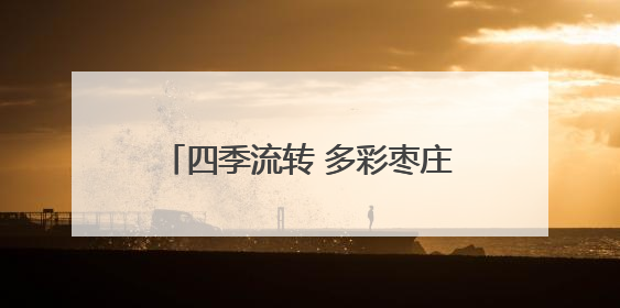 四季流转 多彩枣庄｜滕州市龙阳镇：“龙湖月色”向日葵花海 绘就乡村振兴新画卷