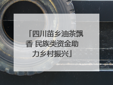 四川苗乡油茶飘香 民族类资金助力乡村振兴