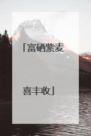 富硒紫麦喜丰收