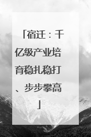 宿迁：千亿级产业培育稳扎稳打、步步攀高