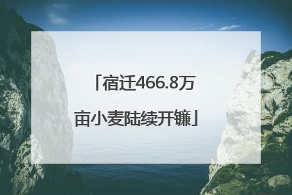 宿迁466.8万亩小麦陆续开镰
