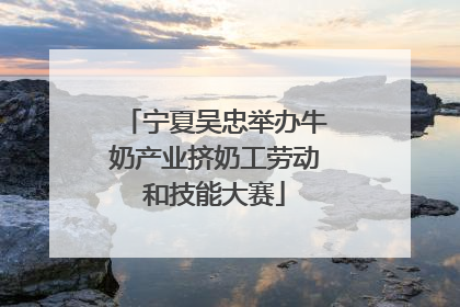 宁夏吴忠举办牛奶产业挤奶工劳动和技能大赛
