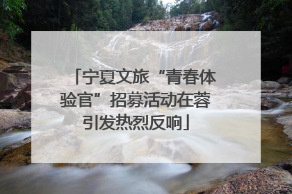 宁夏文旅“青春体验官”招募活动在蓉引发热烈反响