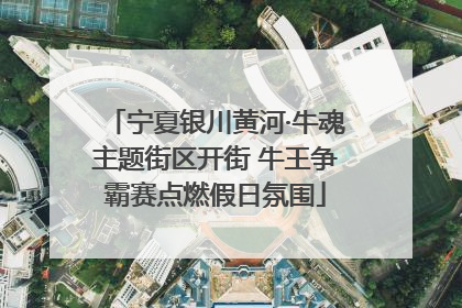 宁夏银川黄河·牛魂主题街区开街 牛王争霸赛点燃假日氛围