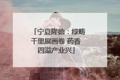 宁夏隆德：绿畴千里展画卷 药香四溢产业兴