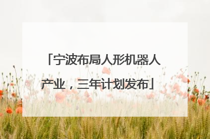 宁波布局人形机器人产业，三年计划发布