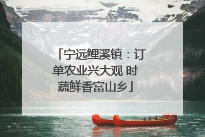 宁远鲤溪镇：订单农业兴大观 时蔬鲜香富山乡