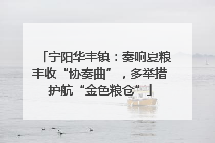 宁阳华丰镇：奏响夏粮丰收“协奏曲”，多举措护航“金色粮仓”