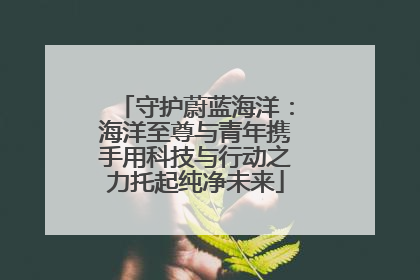 守护蔚蓝海洋：海洋至尊与青年携手用科技与行动之力托起纯净未来