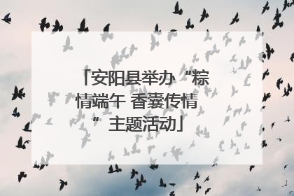 安阳县举办“粽情端午 香囊传情”主题活动