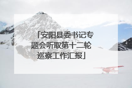 安阳县委书记专题会听取第十二轮巡察工作汇报