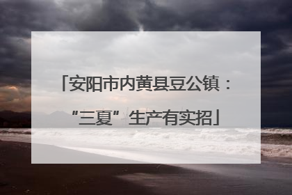 安阳市内黄县豆公镇：“三夏”生产有实招