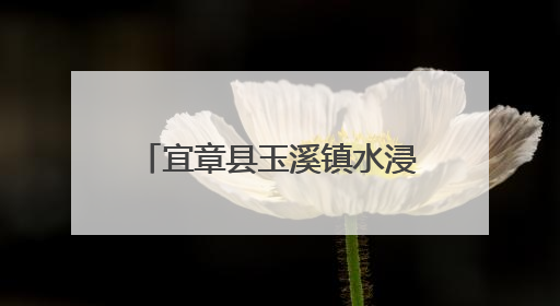 宜章县玉溪镇水浸窝村：万亩杨梅开启夏日“甜蜜经济”