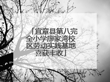 宜章县第八完全小学廖家湾校区劳动实践基地喜获丰收