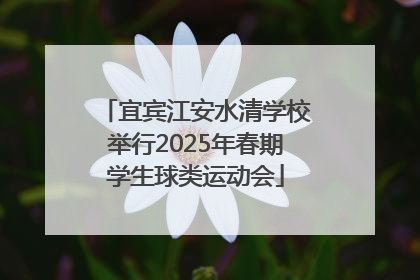 宜宾江安水清学校举行2025年春期学生球类运动会