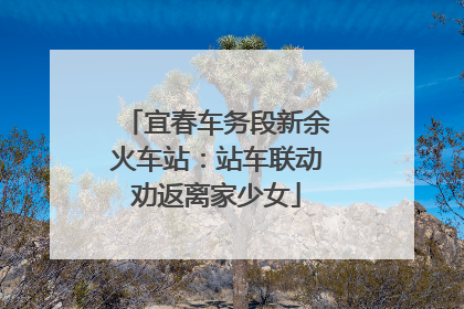 宜春车务段新余火车站：站车联动劝返离家少女