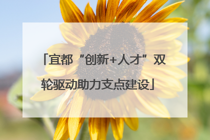 宜都“创新+人才”双轮驱动助力支点建设