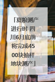 夏粮测产进行时 四川6月底前将完成4500块抽样地块测产