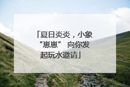 夏日炎炎，小象“崽崽” 向你发起玩水邀请